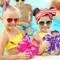 Tropical Napkins,Hawaiian Tropical Decoration 40pcs Luau Napkins Paper Floral Hibiscus Hawaiian Napkins For Summer Luau Party Supplies